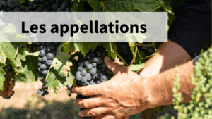 Les appellations