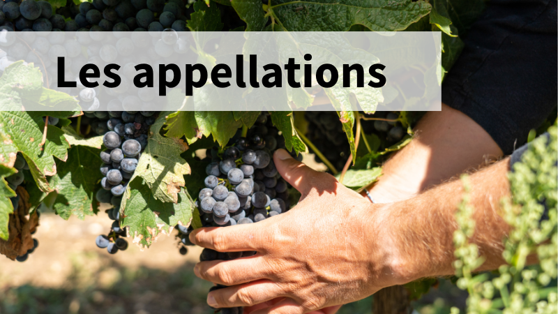 Les appellations