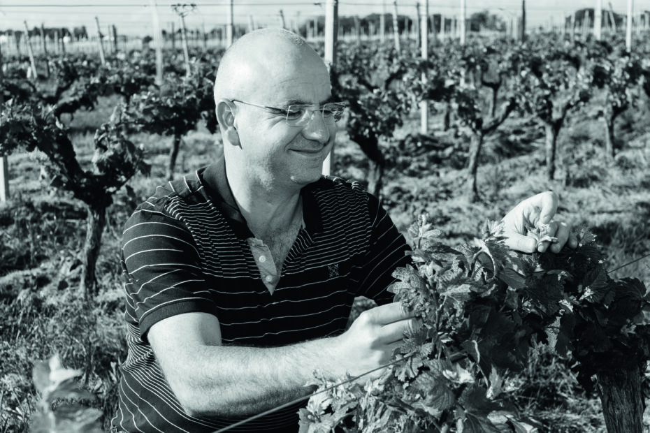 Vignoble Vincent
