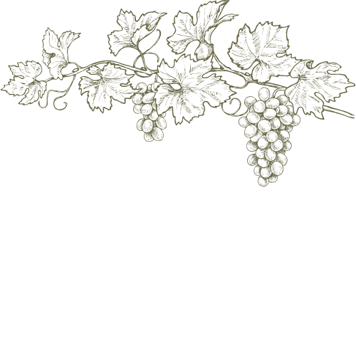 Cépage