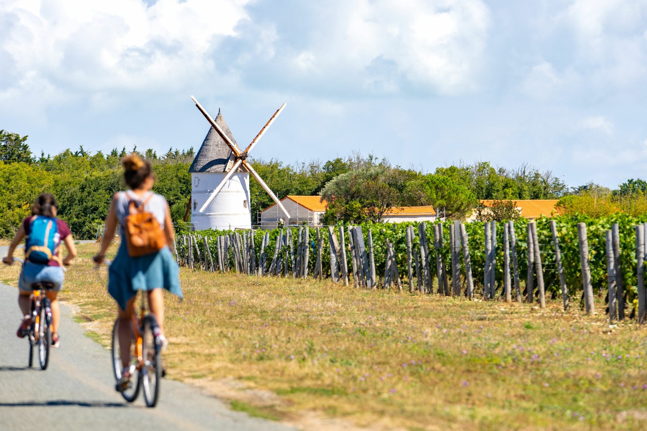 Vignoble de l'ile d'Oléron