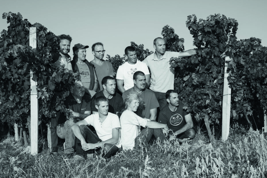 Vignerons d'Oléron