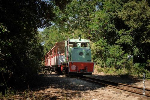 Le P'tit Train de Saint-Trojan