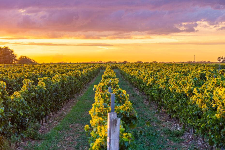 Histoire et terroir