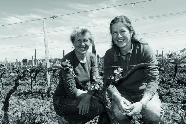 Vignoble Le Jardin de la Josière