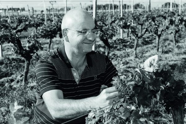 Vignoble Vincent
