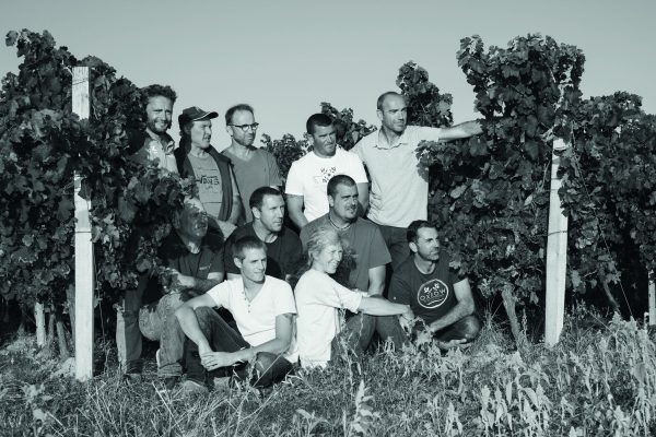Vignerons d'Oléron